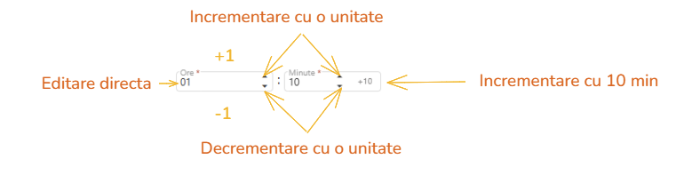 time-input-small